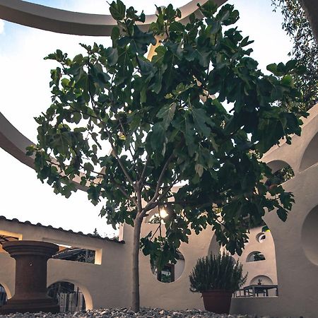 Hotel Schuetz Τρίερ Εξωτερικό φωτογραφία