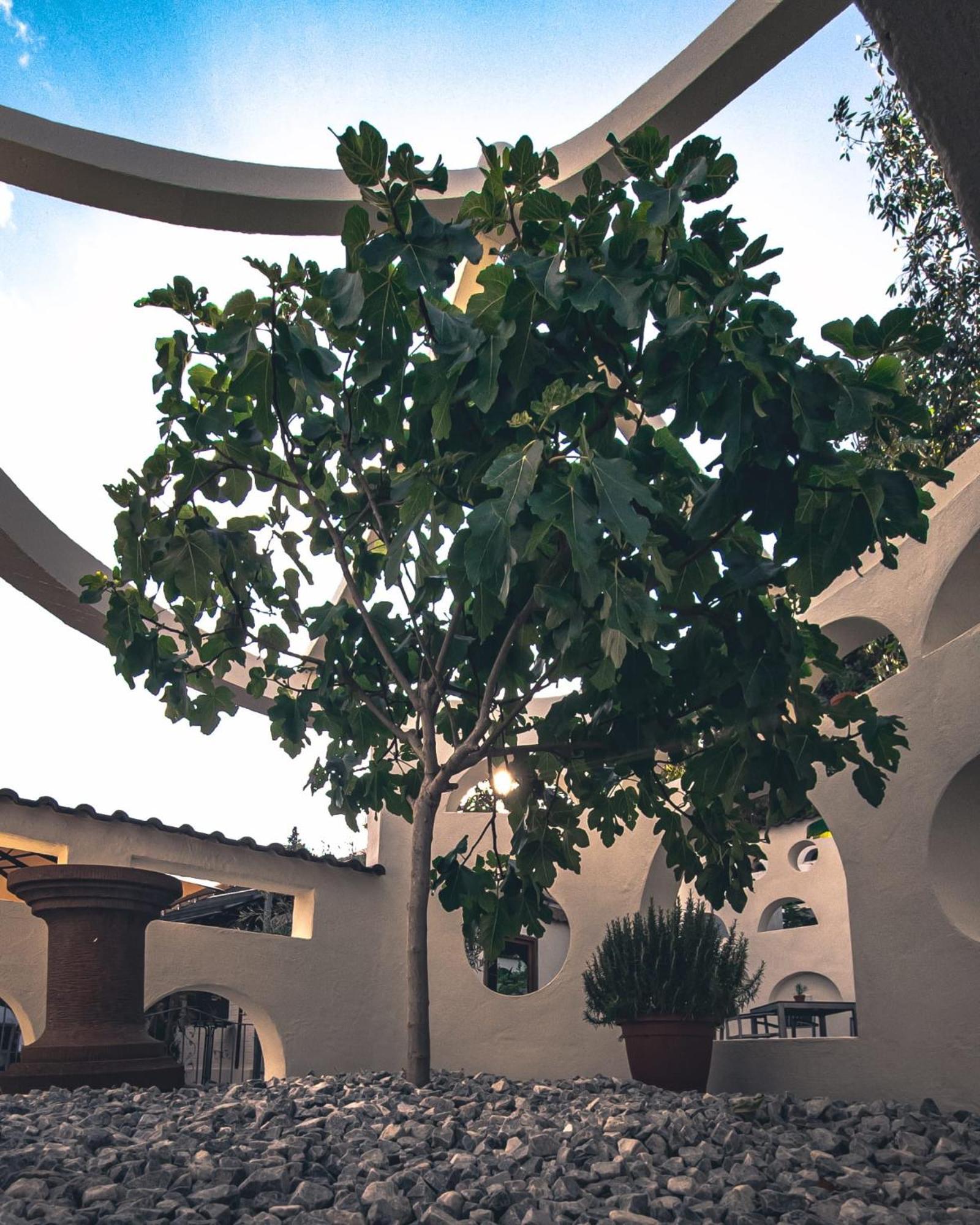 Hotel Schuetz Τρίερ Εξωτερικό φωτογραφία